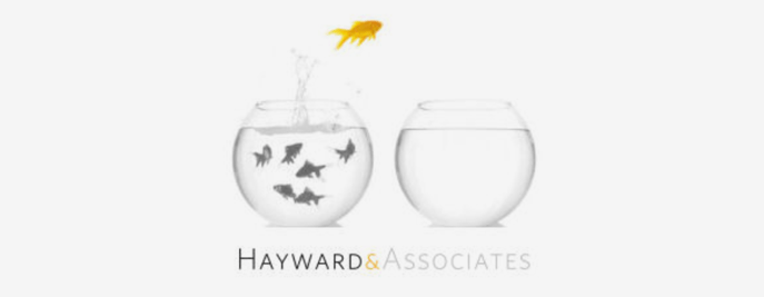 Hayward & Associates